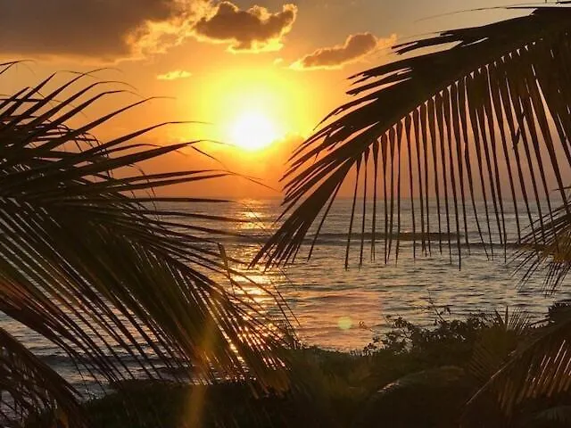 Mirage # 2 By Ecobeaches * Akumal